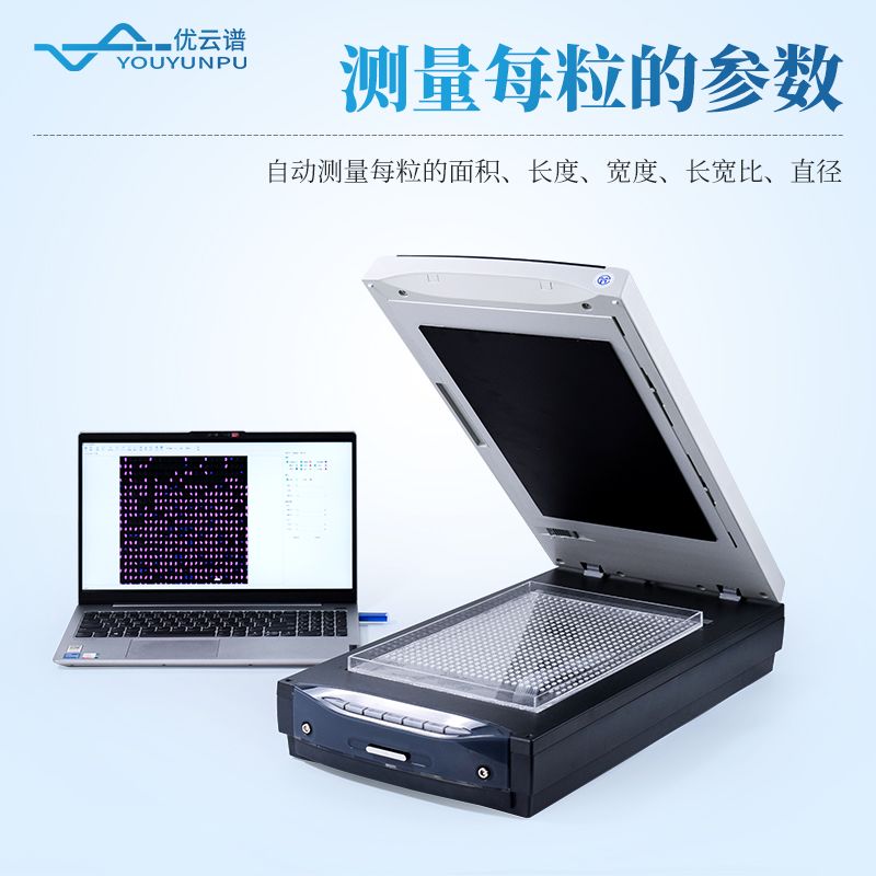 大米外觀品質(zhì)檢測(cè)儀