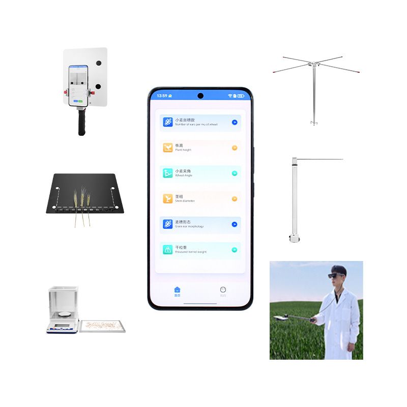 小麥表型檢測系統